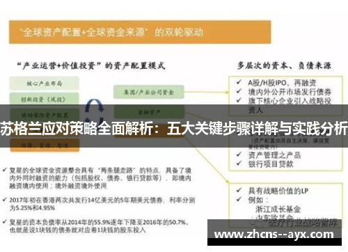 苏格兰应对策略全面解析：五大关键步骤详解与实践分析