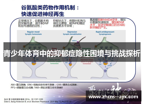 青少年体育中的抑郁症隐性困境与挑战探析