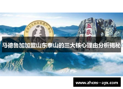 马德鲁加加盟山东泰山的三大核心理由分析揭秘
