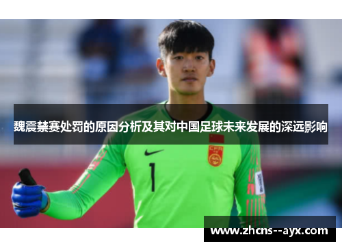魏震禁赛处罚的原因分析及其对中国足球未来发展的深远影响